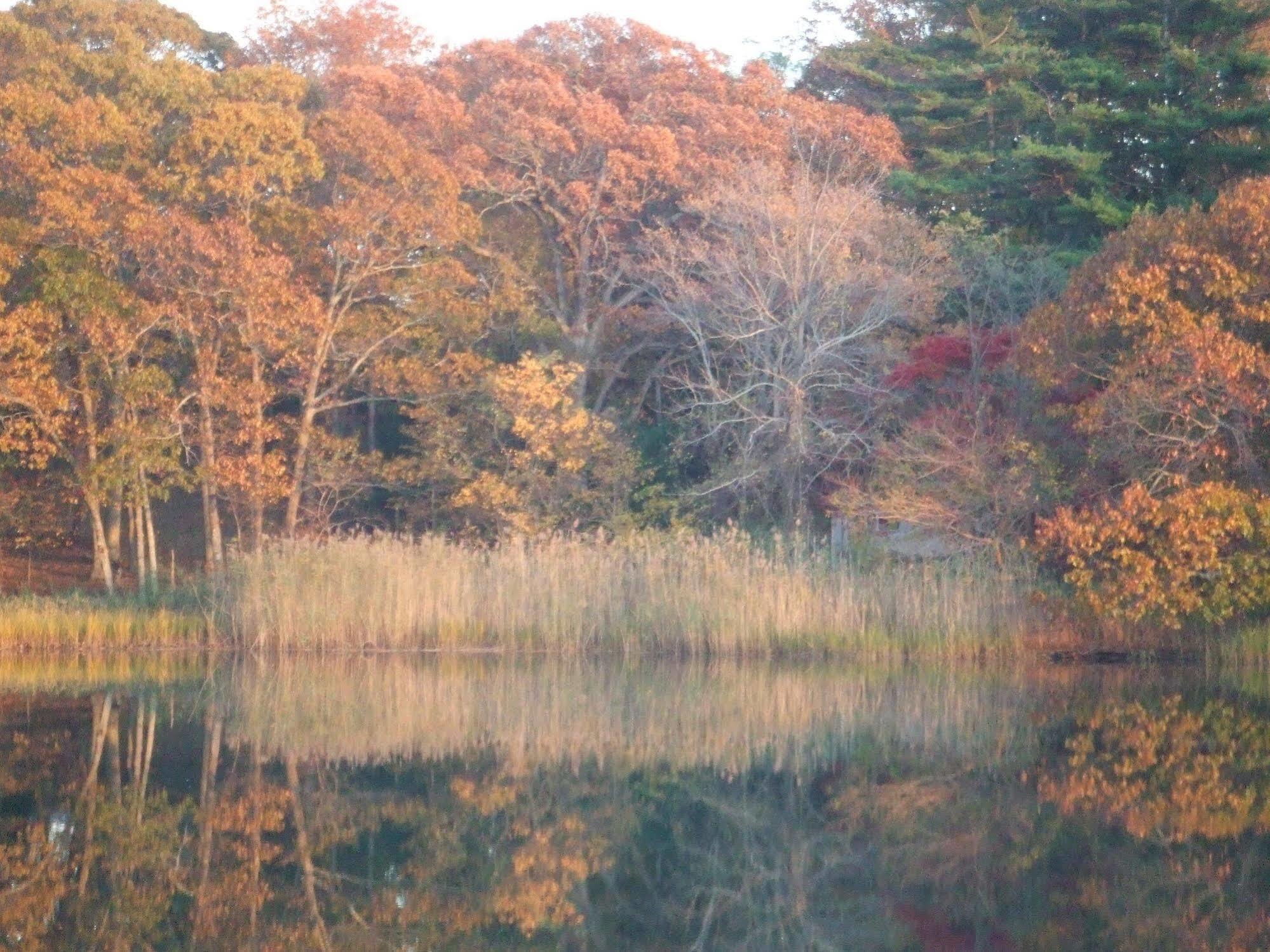 Shelter Island Heights House On Chase Creek B&B 외부 사진